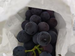 -马陆小张葡萄园农家乐