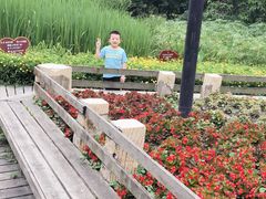 -成都市活水公园