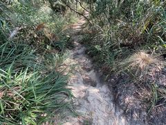 -燕晗山郊野公园