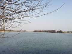 -贡湖湾湿地公园
