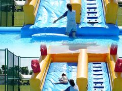 -春花秋色城市公园