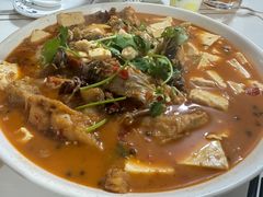 -煲来饱去冷水鱼