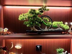 -聆耳·采耳·按摩·SPA(会展中心店)