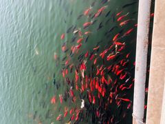 -森林公园(尖草坪区)