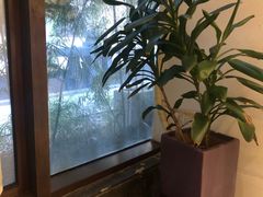 -小湾茶楼