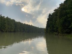 -上海海湾国家森林公园