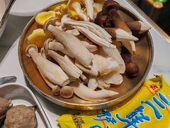 野生菌四拼-菌小白火锅(时尚天河店)