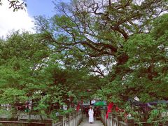 -偏岩古镇