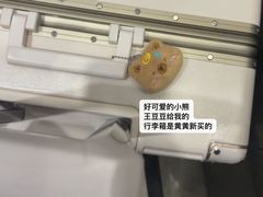 -郑州新郑国际机场-T2航站楼
