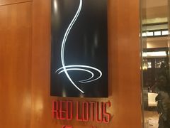 -红莲中餐厅(日航饭店)
