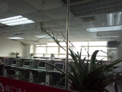 -樱花国际日语(徐家汇中心)