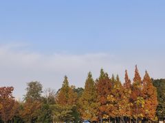 -白鹭湾湿地公园