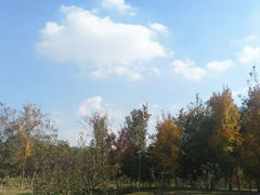 -莫子山公园
