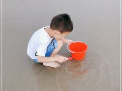 -奉贤海滩