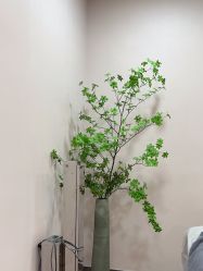 -上海首尔丽格医疗美容医院