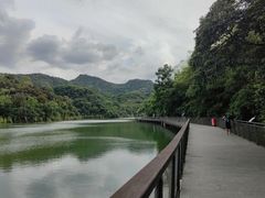 -广州市白云山风景名胜区