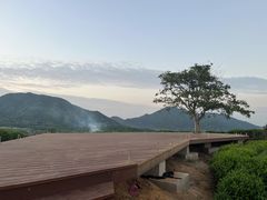 -龙坞茶村