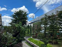 -Ohkajhu Organic Farm Sansai