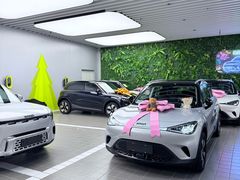 -上海浦东smart汽车全功能店(金桥店)