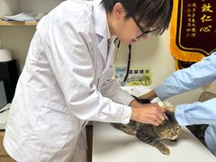 -全心全意连锁动物医院·特色中医诊疗(会城门分院)