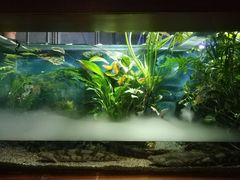 -太平洋海底世界