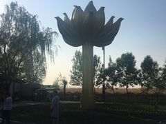 -白洋淀景区
