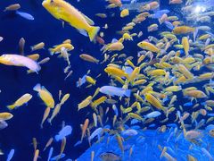 -成都浩海立方海洋公园