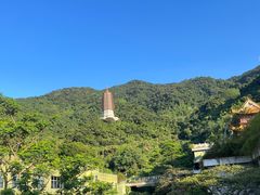 -深圳仙湖植物园