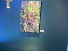 -烹然四季椰子鸡火锅(姚家园万象汇店)