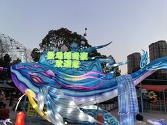 -海合安武汉极地海洋公园