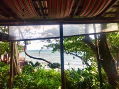 -卷心菜和避孕套餐厅(Pattaya)
