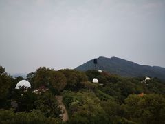 -紫金山天文台