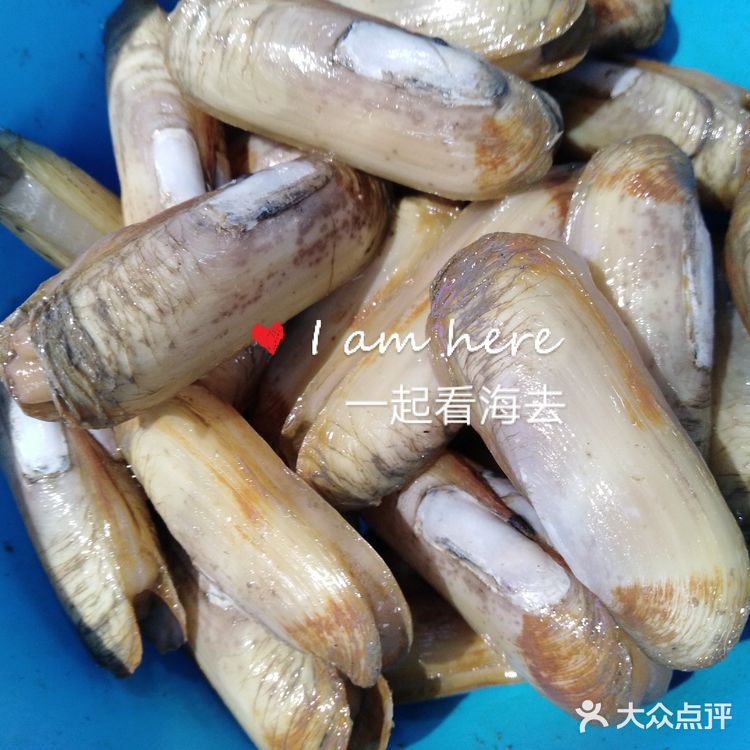 海姐教你家常菜（71）之香炒指甲螺