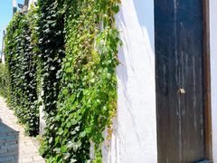 -青果巷历史文化街区