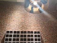 -苹果树下艺术餐厅(宋庄店)