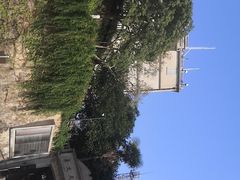 -上海佘山国家森林公园西佘山园