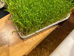 -煲宫猪肚鸡(晶品店)