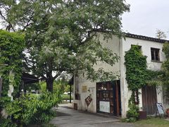 -田园东方蜜桃村的田野营地