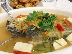 清蒸老虎斑-蟹皇海鲜餐厅