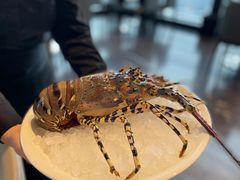 -重庆尼依格罗酒店·欣厨Niccolo Kitchen