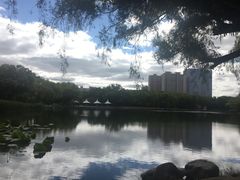 -青城公园