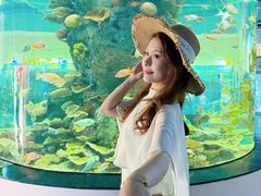 -福州罗源湾海洋世界旅游区