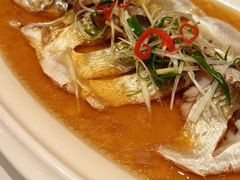 -老洋房花园饭店(绍兴路店)