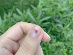 点击看大图 -媄甲诗美甲美睫