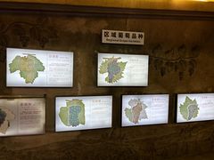 -青岛葡萄酒博物馆