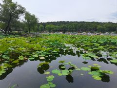 -承德避暑山庄景区