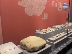 -广西壮族自治区博物馆