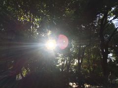 -江墅铁路遗址公园