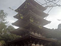 -醍醐寺