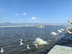 -海埂大坝